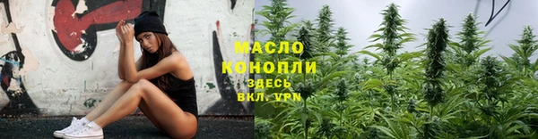 spice Богородицк